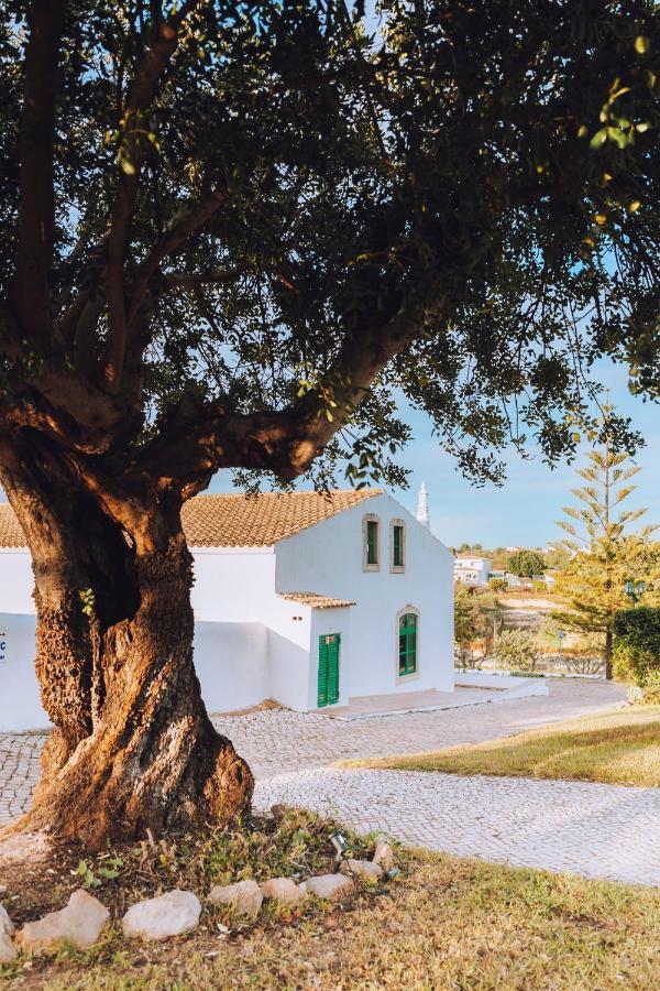 Cerca Velha - Country House Albufeira Dış mekan fotoğraf
