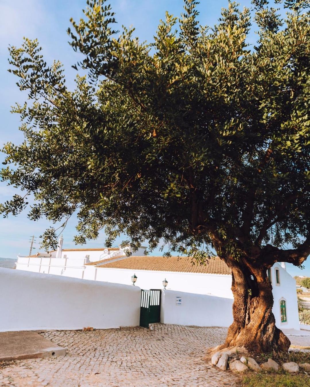 Cerca Velha - Country House Albufeira Dış mekan fotoğraf