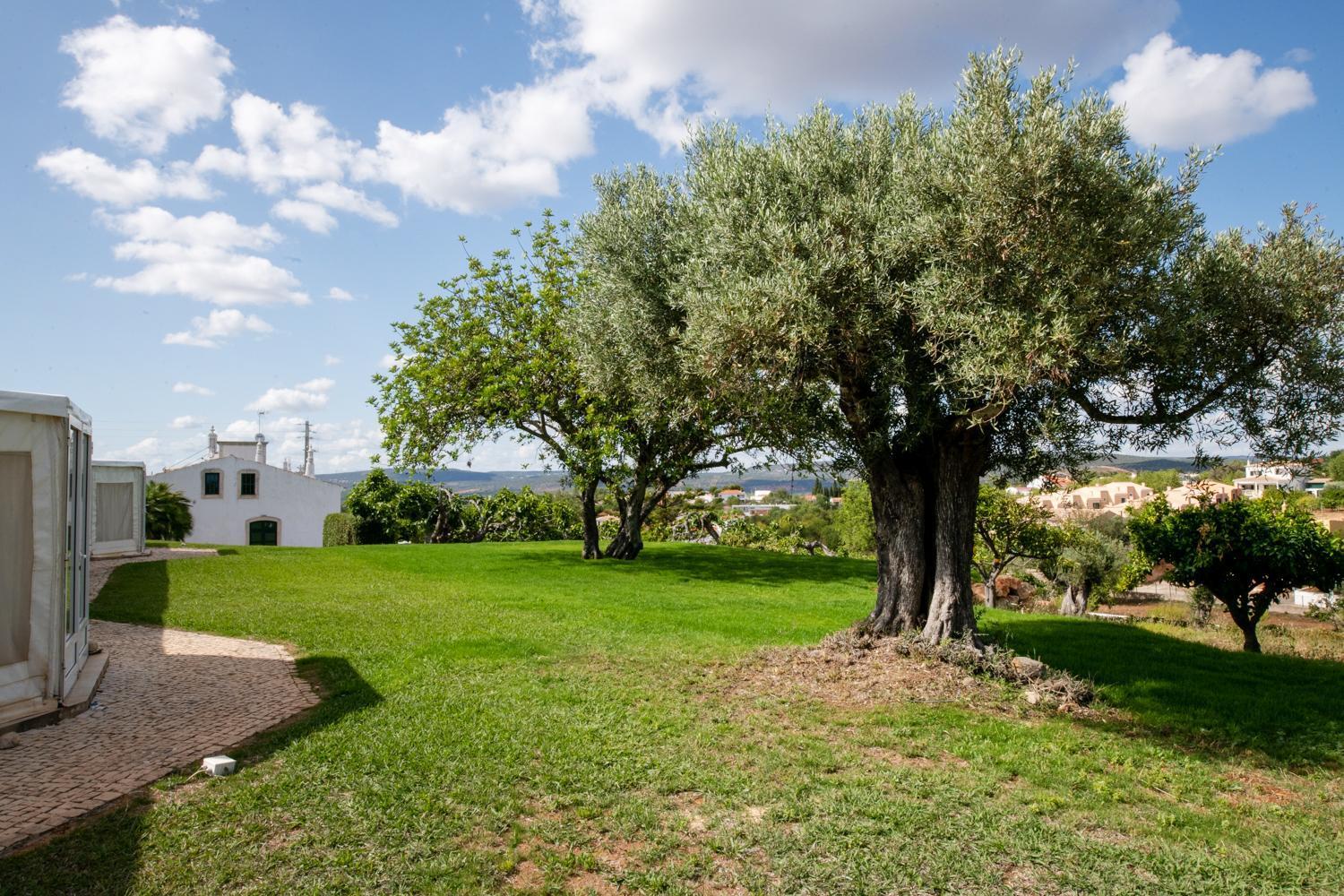 Cerca Velha - Country House Albufeira Dış mekan fotoğraf